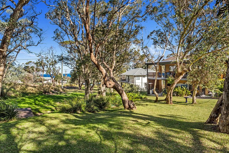 Photo - 38 Andrew Close, Boat Harbour NSW 2316 - Image 4