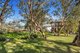 Photo - 38 Andrew Close, Boat Harbour NSW 2316 - Image 4