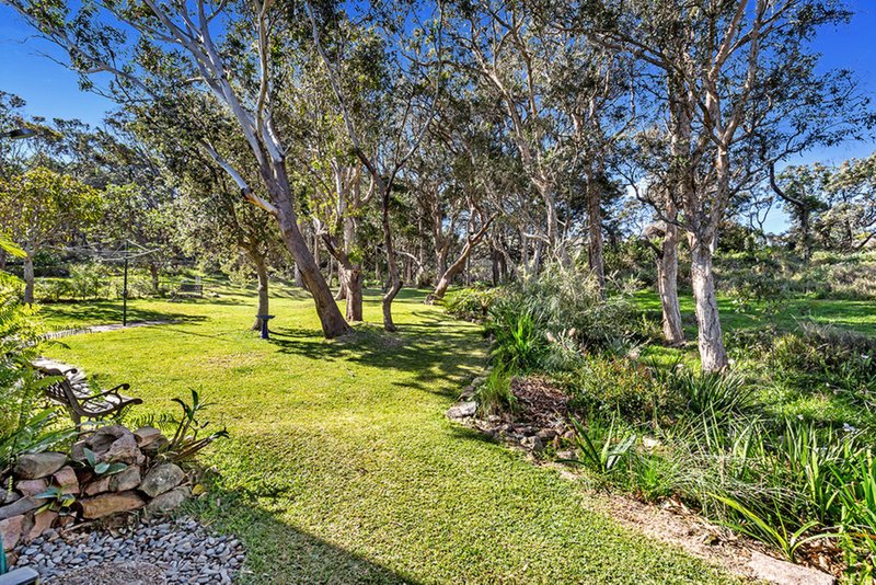 Photo - 38 Andrew Close, Boat Harbour NSW 2316 - Image 17