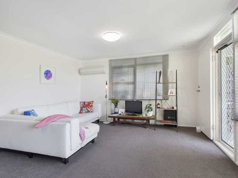 Photo - 38 Ballow Street, Coolangatta QLD 4225 - Image 5