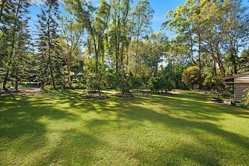 Photo - 38 Barleycorn Avenue, Buderim QLD 4556 - Image 3