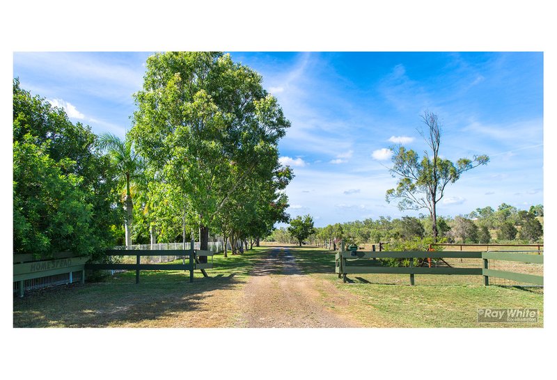 Photo - 38 Berry Dairy Road, Glendale QLD 4711 - Image 4