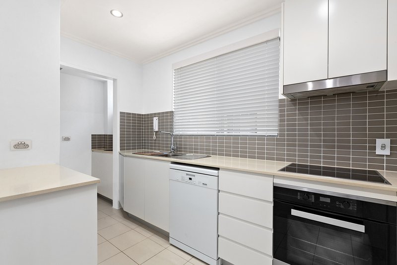Photo - 3/8 Blenheim Street, Randwick NSW 2031 - Image 4
