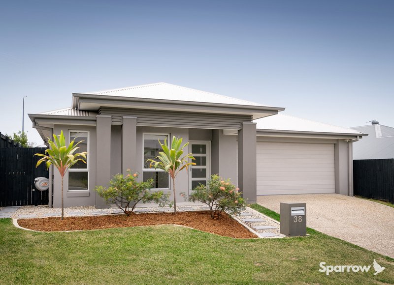 38 Brushtail Court, Bahrs Scrub QLD 4207