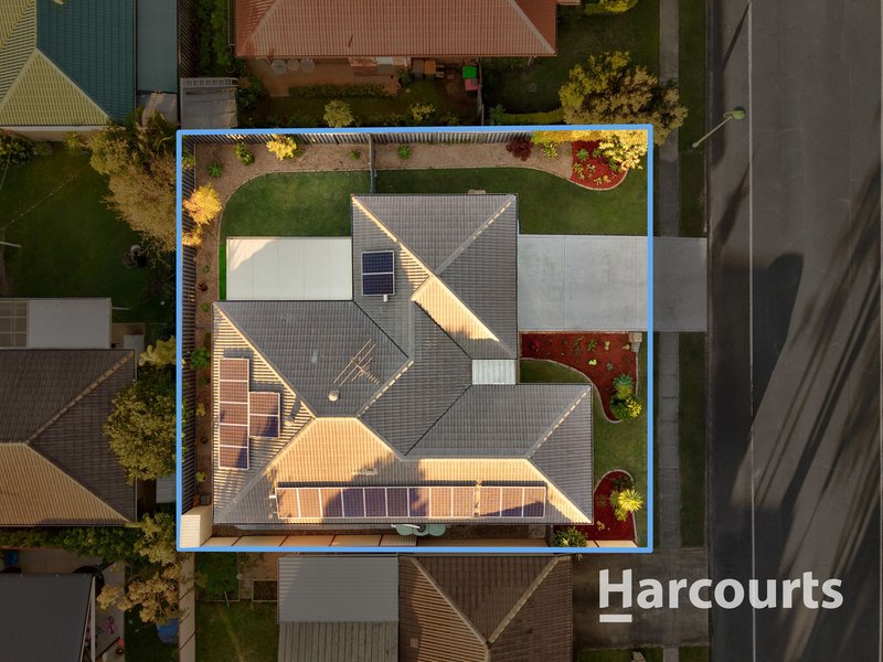 Photo - 38 College Way, Boondall QLD 4034 - Image 17