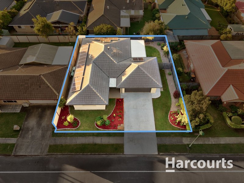 Photo - 38 College Way, Boondall QLD 4034 - Image 18