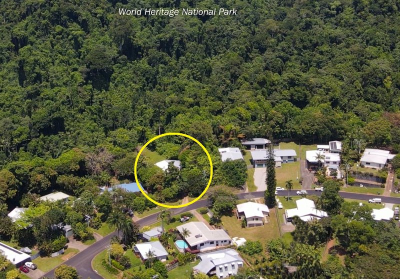 Photo - 38 Cutten Street, Bingil Bay QLD 4852 - Image 19