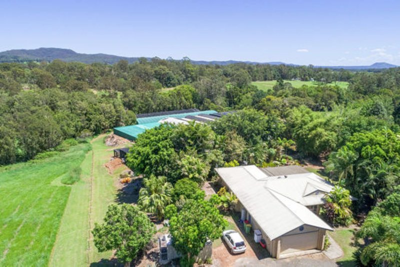 Photo - 38 Dandaloo Drive, Cootharaba QLD 4565 - Image 3