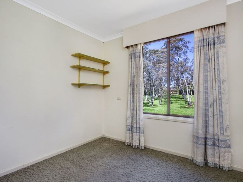 Photo - 38 Dwyer Street, Cook ACT 2614 - Image 9