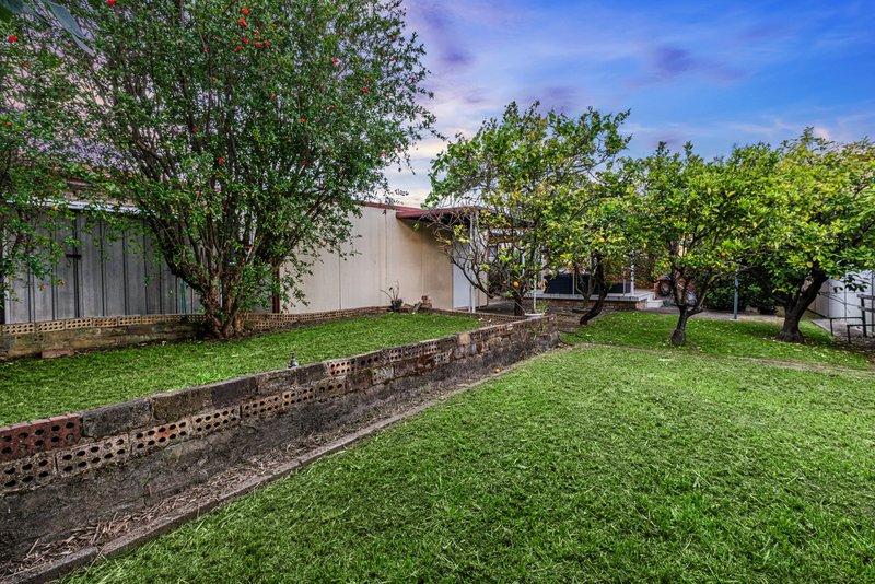 Photo - 38 Faraday Road, Padstow NSW 2211 - Image 6