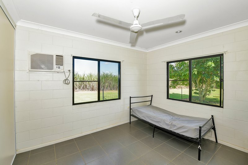 Photo - 38 Flynn Road, Mourilyan QLD 4858 - Image 7