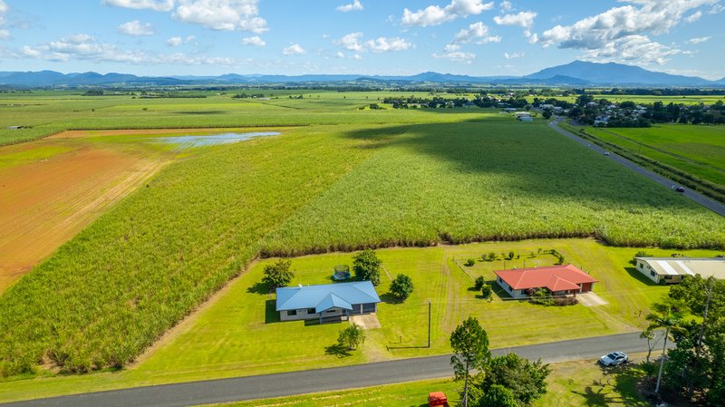 Photo - 38 Flynn Road, Mourilyan QLD 4858 - Image 13