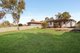 Photo - 38 Galloway Street, Busby NSW 2168 - Image 2