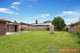 Photo - 38 Geranium Avenue, Macquarie Fields NSW 2564 - Image 7