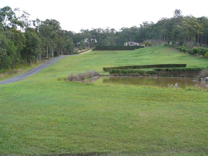 Photo - 38 Ghostgum Grove, Upper Coomera QLD 4209 - Image 14