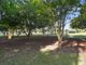 Photo - 38 Grand Street, Bald Hills QLD 4036 - Image 14