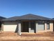 Photo - 38 Honeycomb Avenue, Manor Lakes VIC 3024 - Image 1