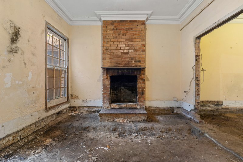 Photo - 38 Ivy Street, Darlington NSW 2008 - Image 4