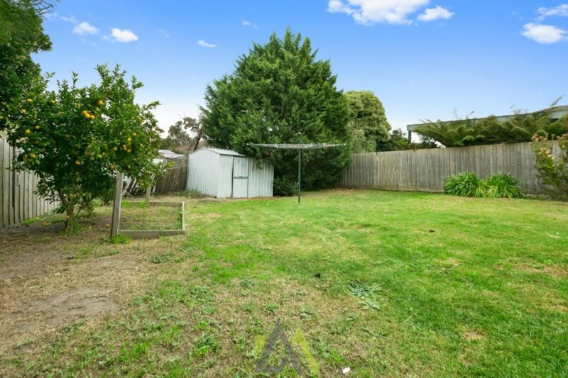 Photo - 38 Jackson Drive, Langwarrin VIC 3910 - Image 11