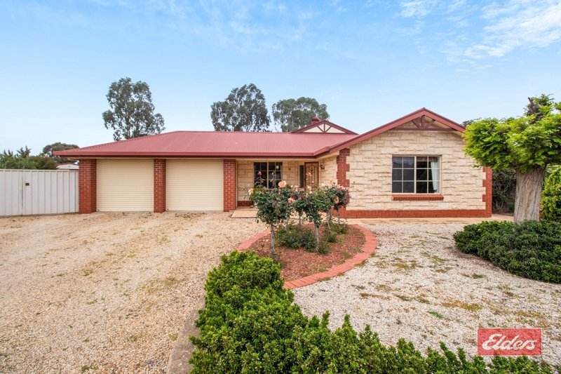 Photo - 38 Jemalong Crescent, Roseworthy SA 5371 - Image 2