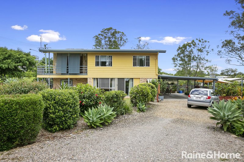 Photo - 38 Kauri Street, Cooroy QLD 4563 - Image 2