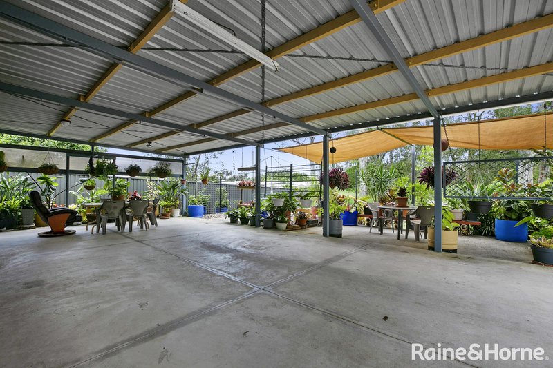 Photo - 38 Kauri Street, Cooroy QLD 4563 - Image 3