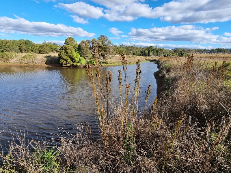 Photo - 38 Kawl Kawl Road, Keysland QLD 4612 - Image 19