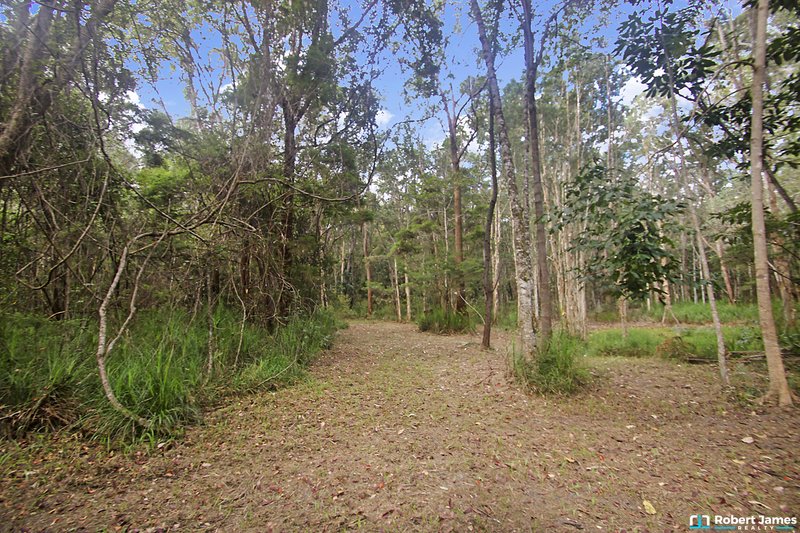 Photo - 38 Kildeys Road, Cootharaba QLD 4565 - Image 16