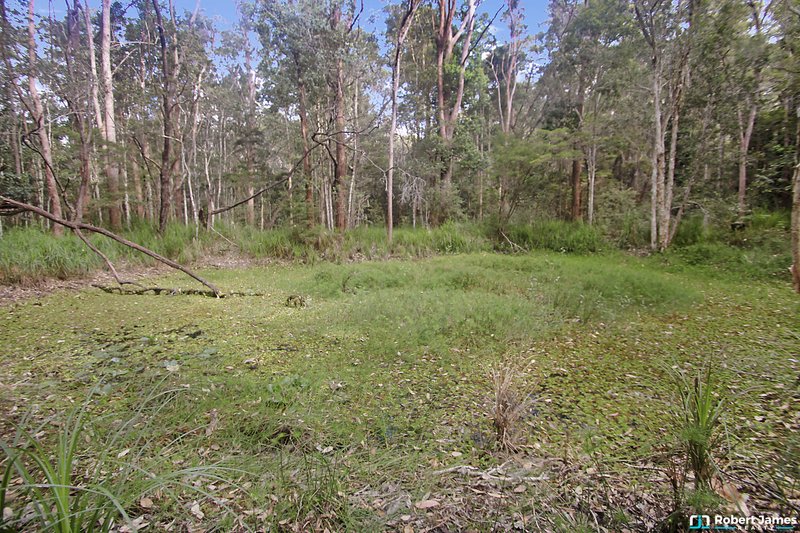 Photo - 38 Kildeys Road, Cootharaba QLD 4565 - Image 17