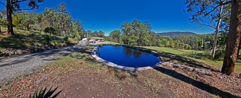 38 Kingsford Road, Logans Crossing NSW 2439