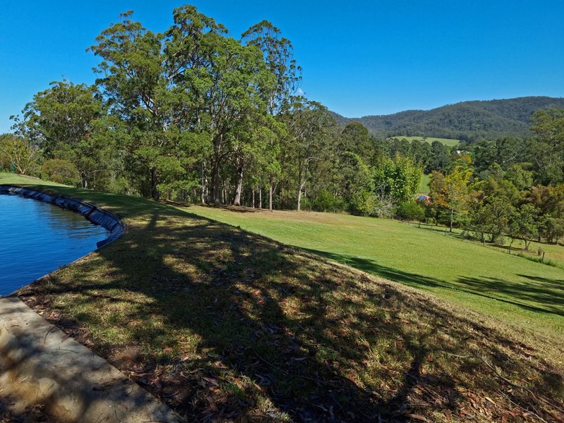 Photo - 38 Kingsford Road, Logans Crossing NSW 2439 - Image 3