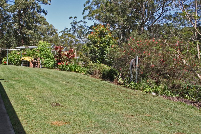 Photo - 38 Kingsford Road, Logans Crossing NSW 2439 - Image 17