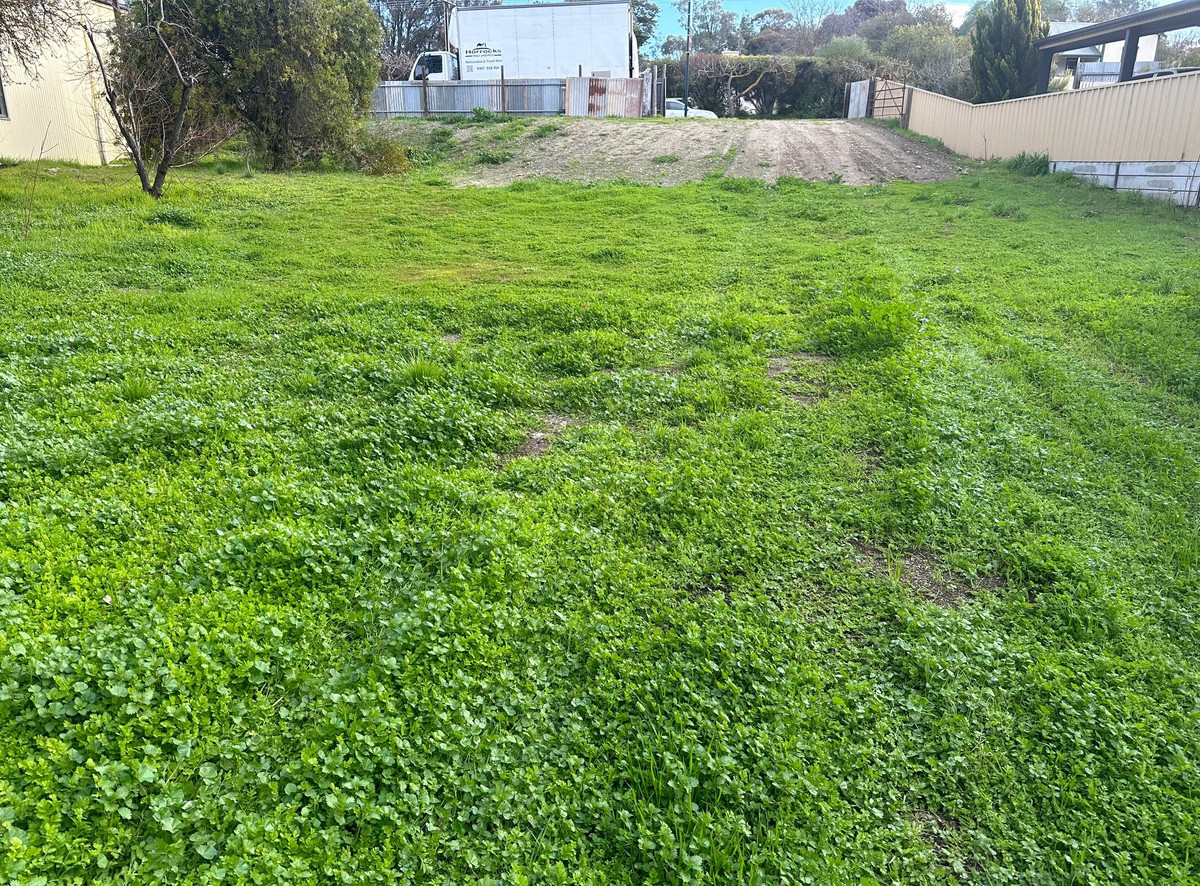 0-bedroom unit at 38 Main North Road, Auburn, SA 5451, Clare And Gilbert Valleys, South Australia