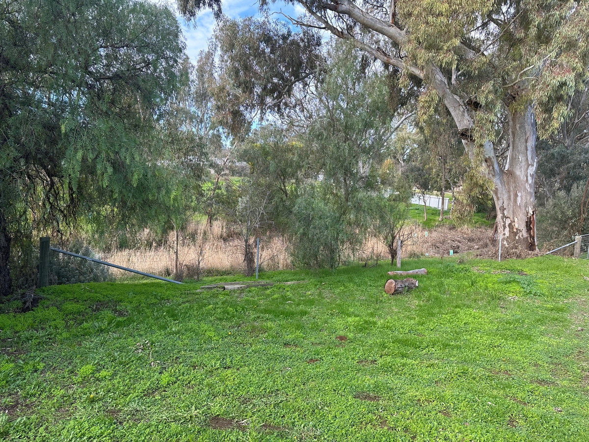 0-bedroom unit at 38 Main North Road, Auburn, SA 5451, Clare And Gilbert Valleys, South Australia