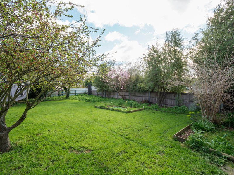 Photo - 38 Mann Street, Invermay TAS 7248 - Image 16