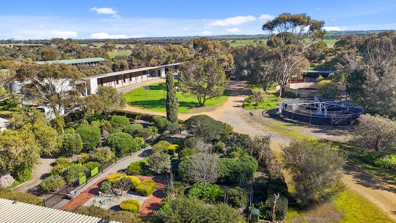 Photo - 38 Matrice Court, Strathalbyn SA 5255 - Image 16