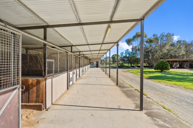 Photo - 38 Matrice Court, Strathalbyn SA 5255 - Image 20