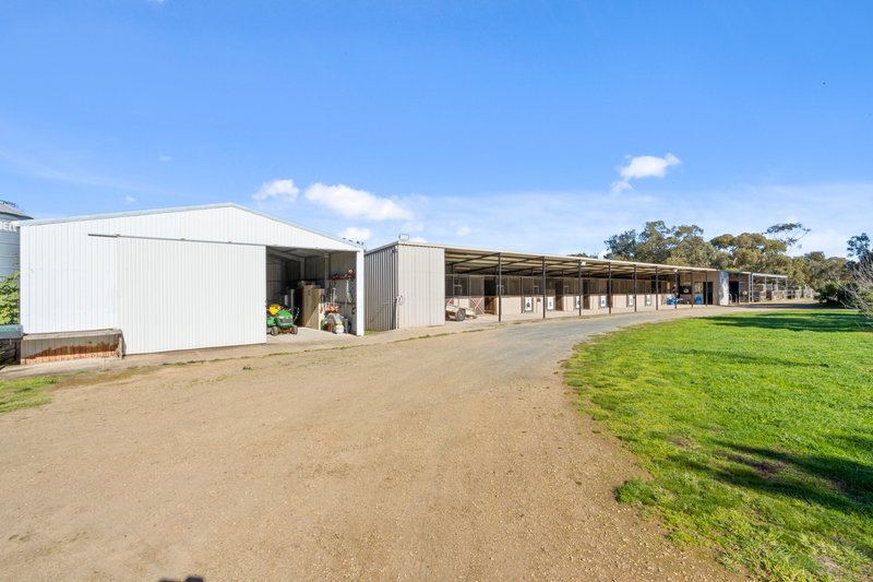 Photo - 38 Matrice Court, Strathalbyn SA 5255 - Image 23
