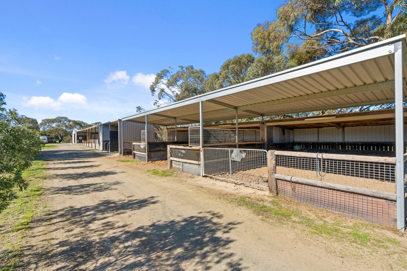 Photo - 38 Matrice Court, Strathalbyn SA 5255 - Image 28