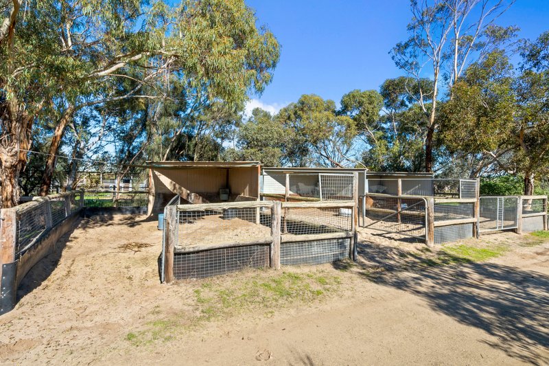 Photo - 38 Matrice Court, Strathalbyn SA 5255 - Image 29