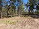 Photo - 38 Mountain Street, Pomona QLD 4568 - Image 2