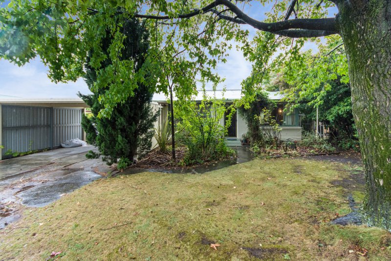 38 Myrtle Road, Youngtown TAS 7249