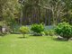 Photo - 38 Peach Grove, Laurieton NSW 2443 - Image 3