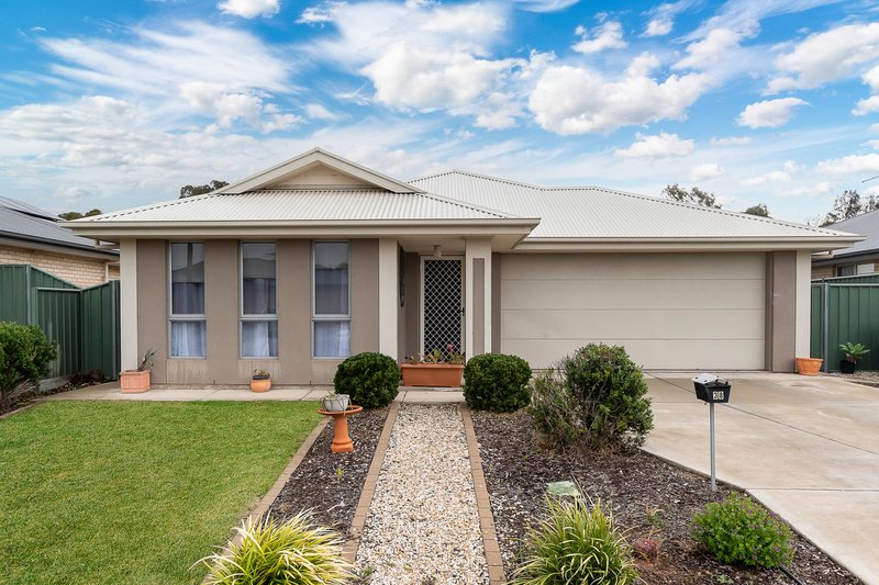 38 Pfitzner Close, Murray Bridge SA 5253