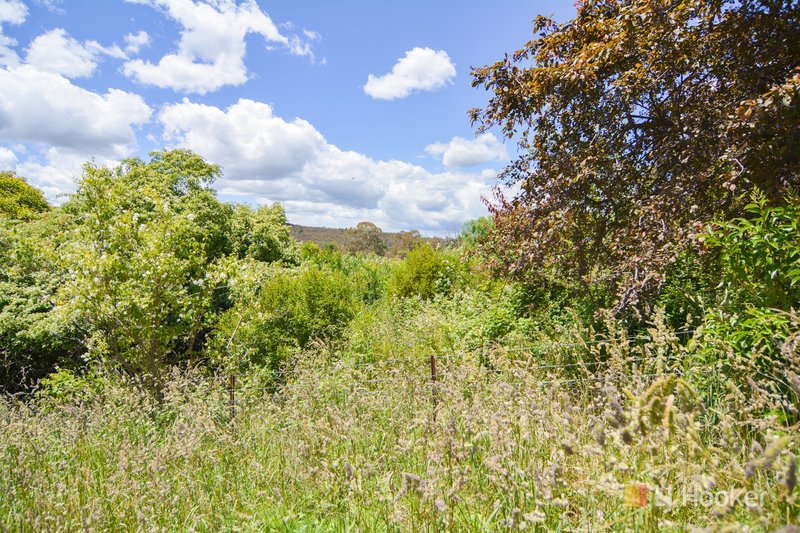 Photo - 38 Piper Street, Portland NSW 2847 - Image 4