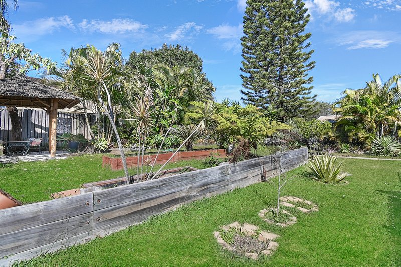 Photo - 38 Pirramurra Street, Bracken Ridge QLD 4017 - Image 16