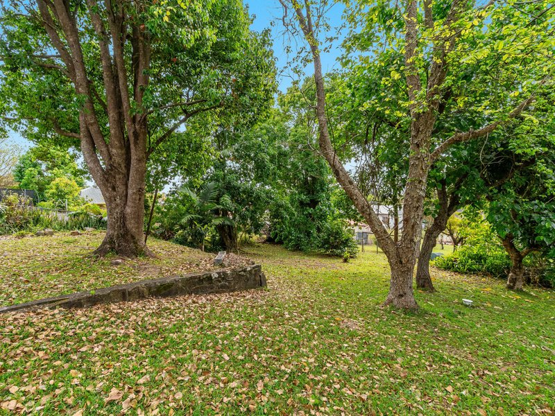 Photo - 38 Rous Road, Goonellabah NSW 2480 - Image 9