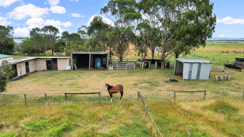 Photo - 38 Russell Street, Alberton VIC 3971 - Image 4