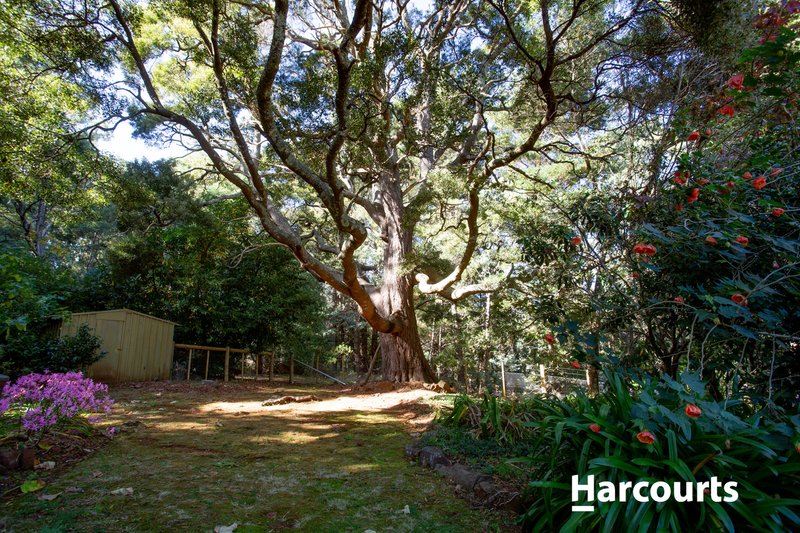 Photo - 38 Samuel Street, Elizabeth Town TAS 7304 - Image 22