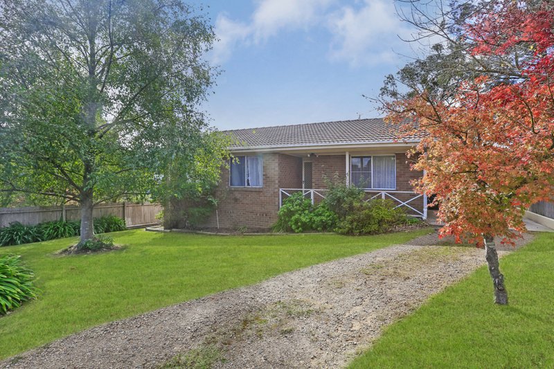 Photo - 38 Sheaffe Street, Bowral NSW 2576 - Image 2